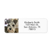 Étiquette Adresse de retour de la photo de l'animal (Devant)