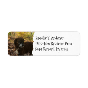 Étiquette Adresse de retour de photo de animal de compagnie 