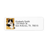 Étiquette  Adresse de retour de photo de chat  (Devant)