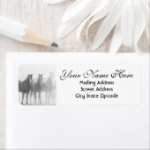 Étiquette Adresse de retour des chevaux dénaturés (En situation)