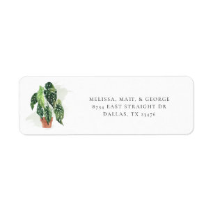 Étiquette Adresse de retour du Plante en pointillé