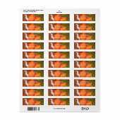 Étiquette Adresse de Retour Maltese & Fleurs (Feuille entière)