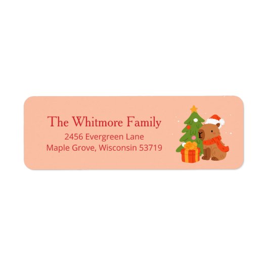 Étiquette Adresse de retour Noël mignon Capybara (Devant)