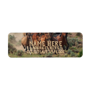 Étiquette Adresse des Chevaux sauvages