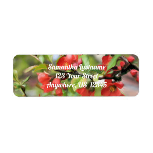 Étiquette Adresse Flower Quince Red Blossings