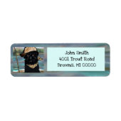 Étiquette Affenpinscher (Devant)