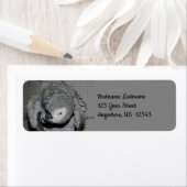 Étiquette African Grey Parrot mignon Bird #2 Adresse (En situation)