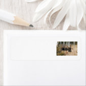 Étiquette Aiguille (En situation)