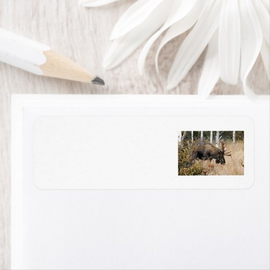 Étiquette Aiguille (En situation)