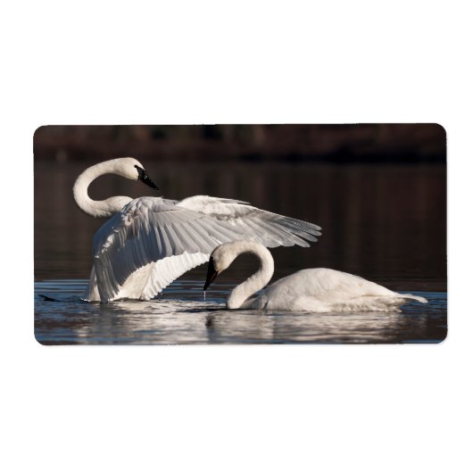 Étiquette Aimer les cygnes (Devant)