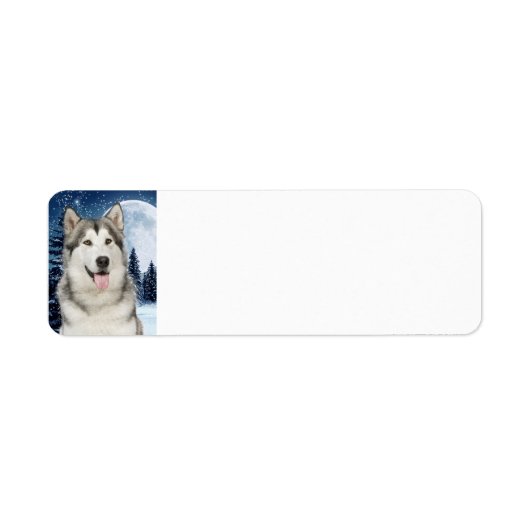 Étiquette Alaskan Malamute Adresse de retour Label (Devant)