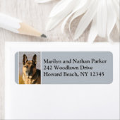 Étiquette Allemand Berger Chien Visage Adresse de retour Lab (En situation)