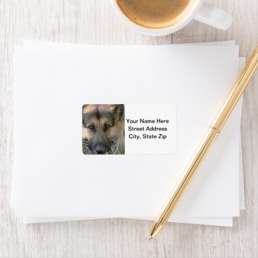 Étiquette Allemand Shepard (En situation)