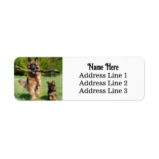 Étiquette Allemand Shepherd Chien et Chiot Adresse de retour