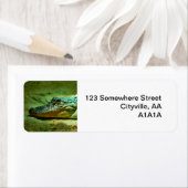 Étiquette Alligator (En situation)