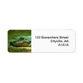 Étiquette Alligator (Devant)