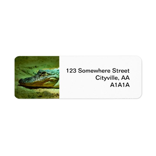 Étiquette Alligator (Devant)
