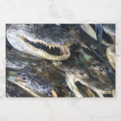 Étiquette Alligator Bottle (Étiquettes simples)