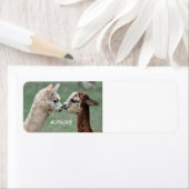 Étiquette Alpacas (En situation)