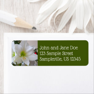 Étiquette Amaryllis blanc et sapin de Noël