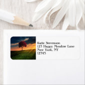 Étiquette Amazing landscape with a Red Tree at Sunset (En situation)