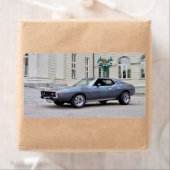 Étiquette AMC Javelin SST 1974 (En situation)