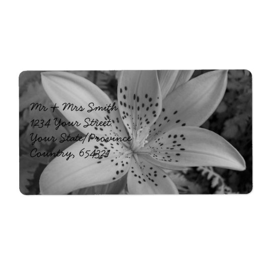 Étiquette American Tiger Lily (Devant)