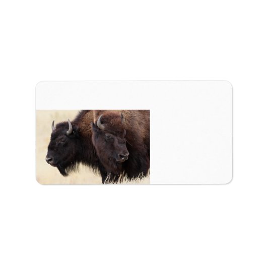 Étiquette amitié bison (Devant)
