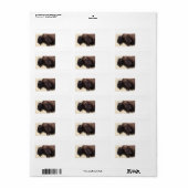 Étiquette amitié bison (Feuille entière)