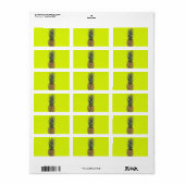 Étiquette Ananas doux (Feuille entière)