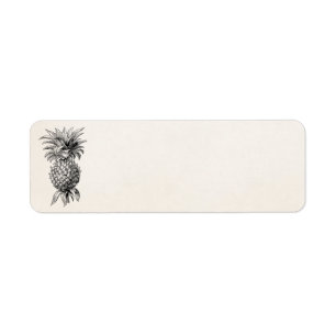 Étiquette Ananas vintages d'illustration d'ananas de 1800s