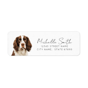 Étiquette Anglais Springer Spaniel Retourner l'adresse Étiqu