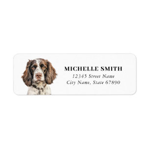 Étiquette Anglais Springer Spaniel Retourner l'adresse Étiqu
