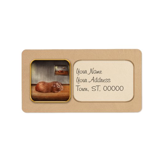 Étiquette Animal - Le cochon d'Inde (Devant)