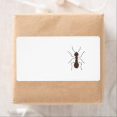 Étiquette Ant (En situation)
