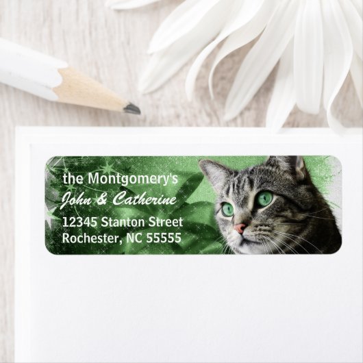 Étiquette APAL - Tabby Argent Chat avec Vert saisonnier (En situation)