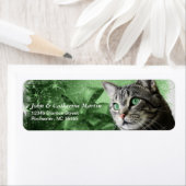 Étiquette APAL - Tabby en argent de Noël (En situation)