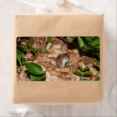 Étiquette Apodemus sylvaticus (En situation)