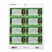 Étiquette Appaloosa Peint Pony (Feuille entière)