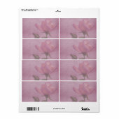 Étiquette appothécaire rose horizontal (Feuille entière)