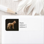 Étiquette Apricot Poodle (En situation)