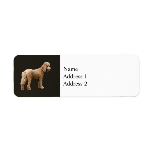 Étiquette Apricot Poodle (Devant)