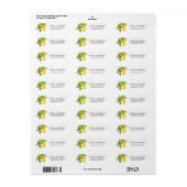 Étiquette Aquarelle Citron vert Adresse de retour (Feuille entière)