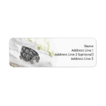 Aquarelle Faune Nature Tortue des forêts