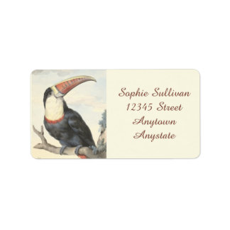 Étiquette Aquarelle Vintage American Toucan blanchie