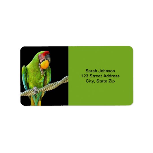 Étiquette Ara Militaris Green Parrot (Devant)