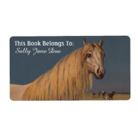 Arabian Desert Dream Horse Boites de livres Étique