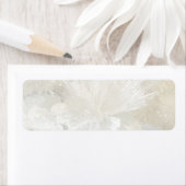 Étiquette Aragonite et Quartz (En situation)