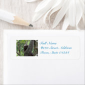 Étiquette Arborescence des Escalades de fentes (En situation)