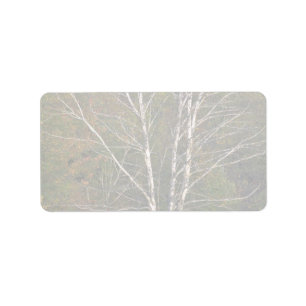 Étiquette Arbre de bouleau blanc abstrait sur le bord d'un